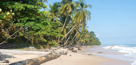 Visa requirements for Canada passport holders traveling to Gabonese